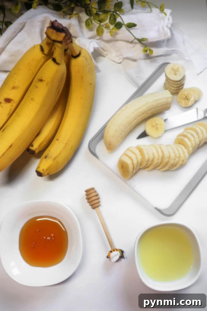 Perfectly Dried Bananas Your Homemade Snack Guide 3 Perfectly Dehydrated Banana Slices Ready for Snacking
