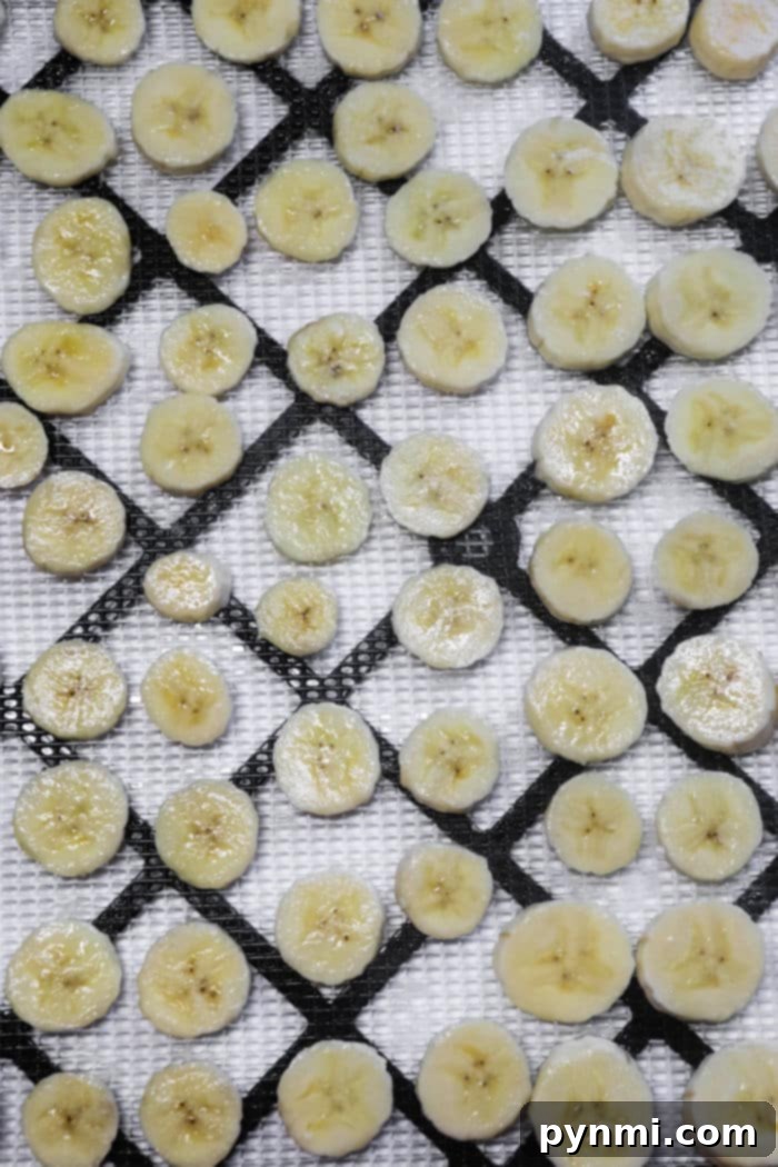 Perfectly Dried Bananas Your Homemade Snack Guide 4 Dehydrating Bananas for Long-Term Storage