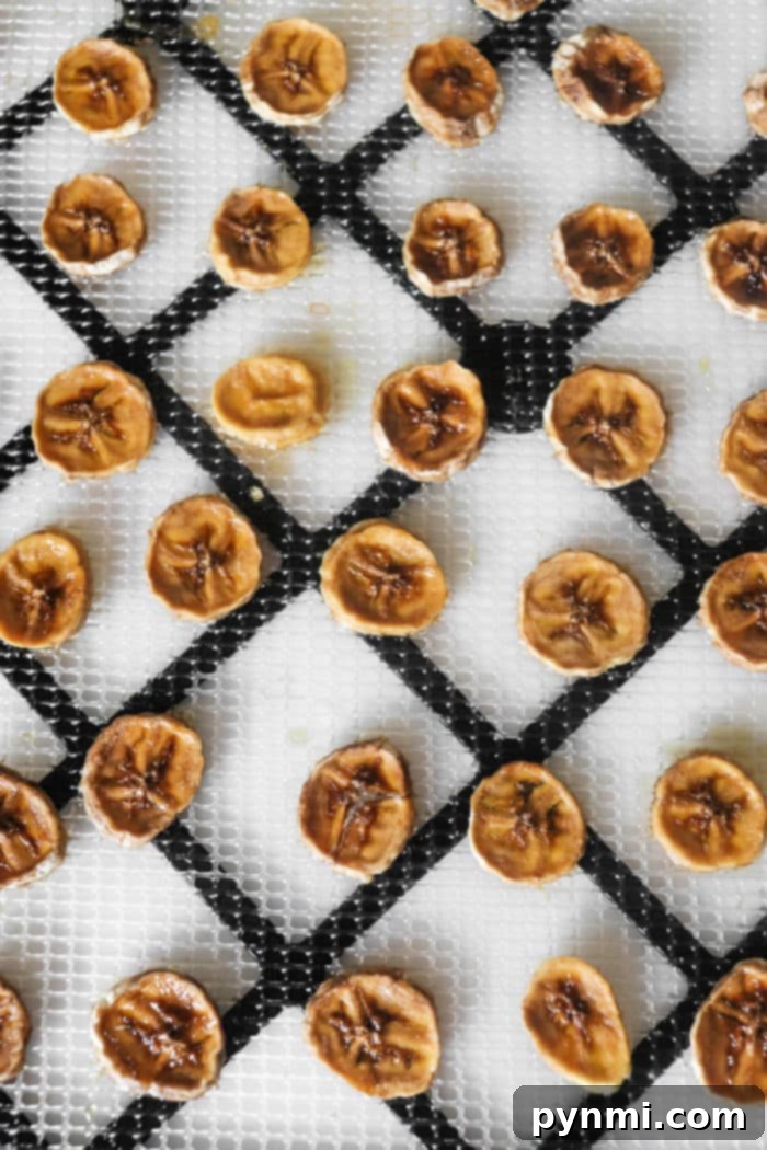 Perfectly Dried Bananas Your Homemade Snack Guide 6 Crispy Oven Dried Banana Chips