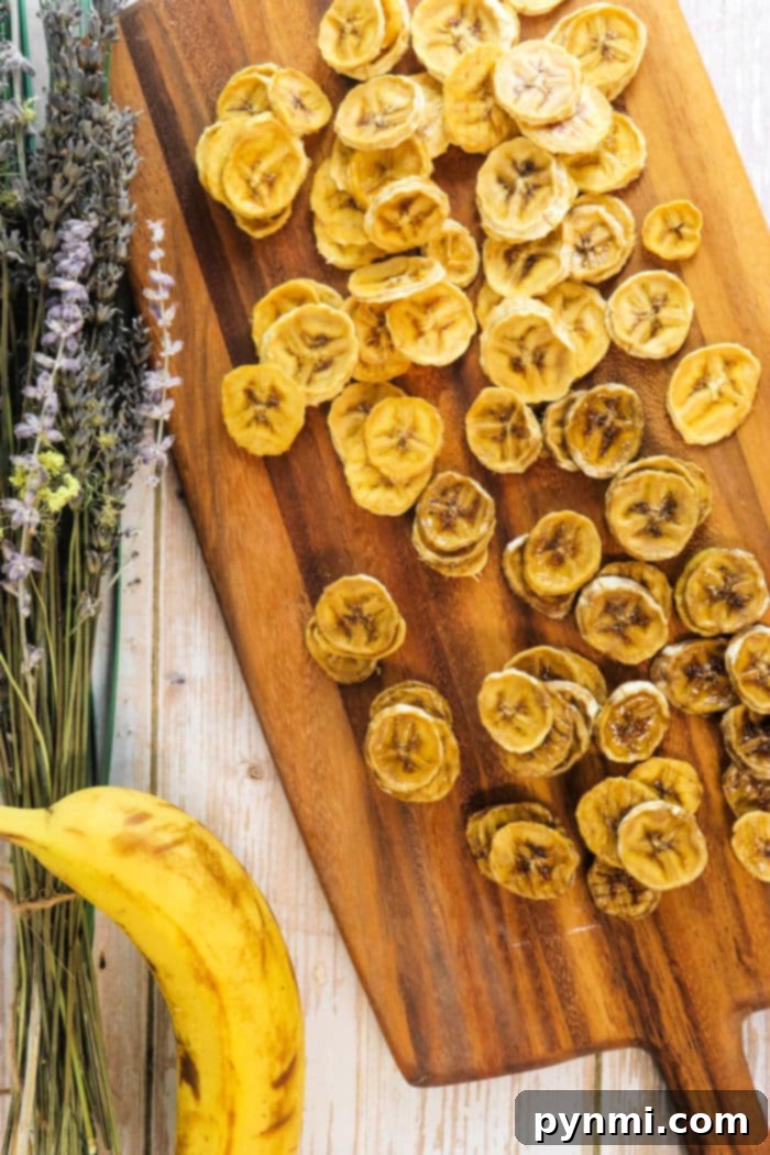 Perfectly Dried Bananas Your Homemade Snack Guide 7 Bananas being dehydrated in a food dehydrator