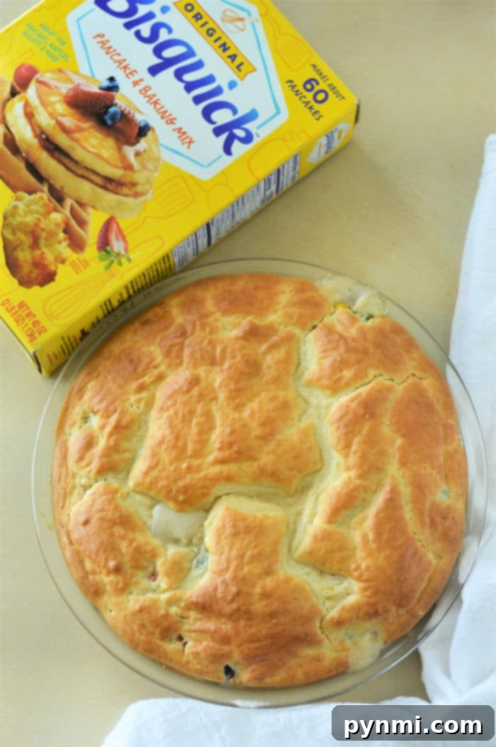 Chicken Pot Pie Shortcut 6 A final close-up of a complete Bisquick Pot Pie, showcasing its inviting golden crust and hearty filling.