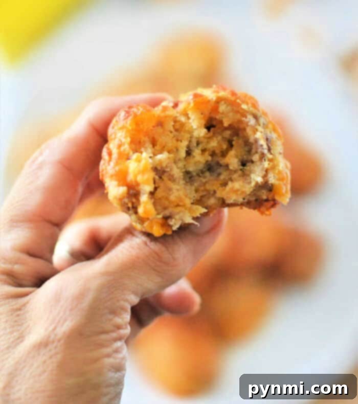 3 ingredient sausage balls on a white plate with a sprig of parsley.