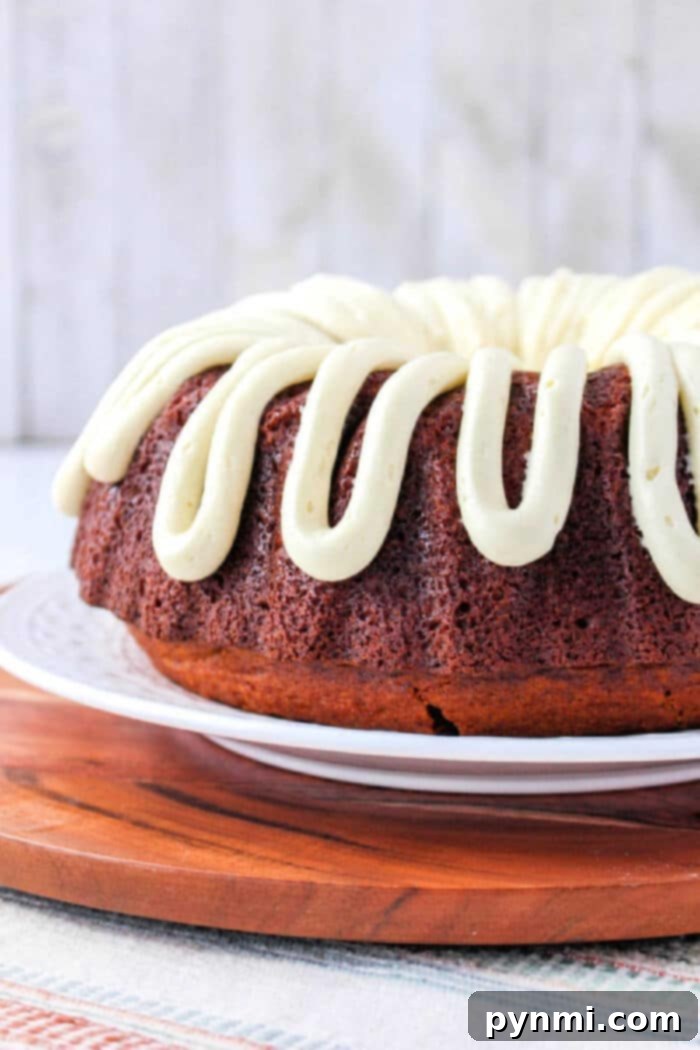 Mastering Bundt Cake Baking Times 2 How Long to Bake a Bundt Cake for a Moist Result