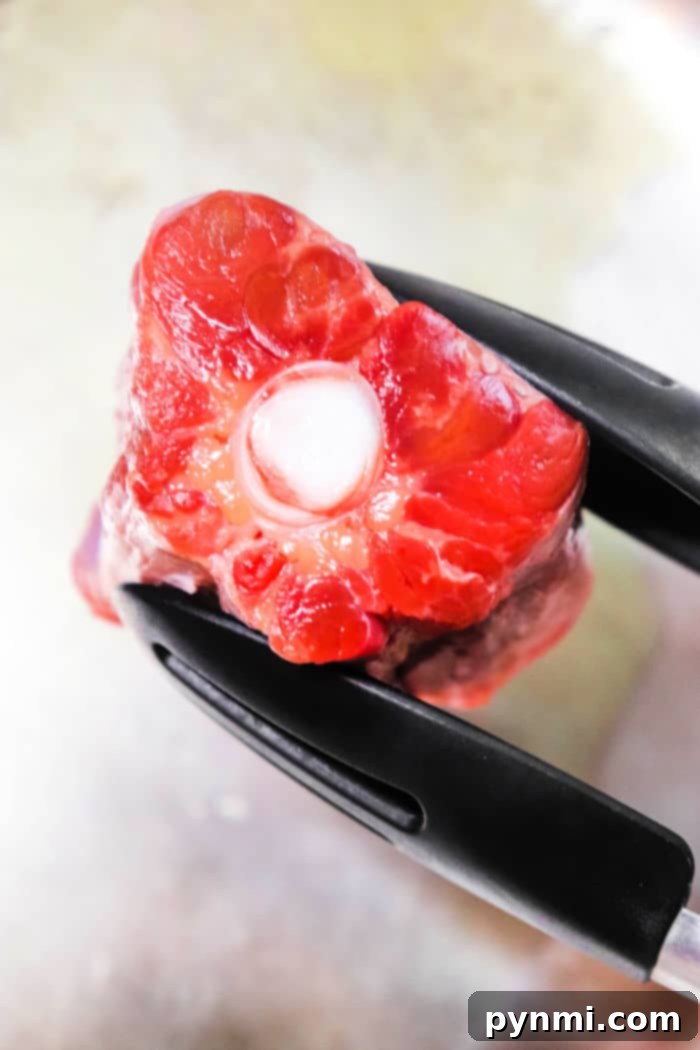 Close-up of raw oxtail held by black kitchen tongs, perfect for those learning how to cook oxtails on the stove. The meat is red and fresh, showcasing a central bone surrounded by a circular arrangement of edible tissue. The background is blurred, focusing attention on the oxtail.