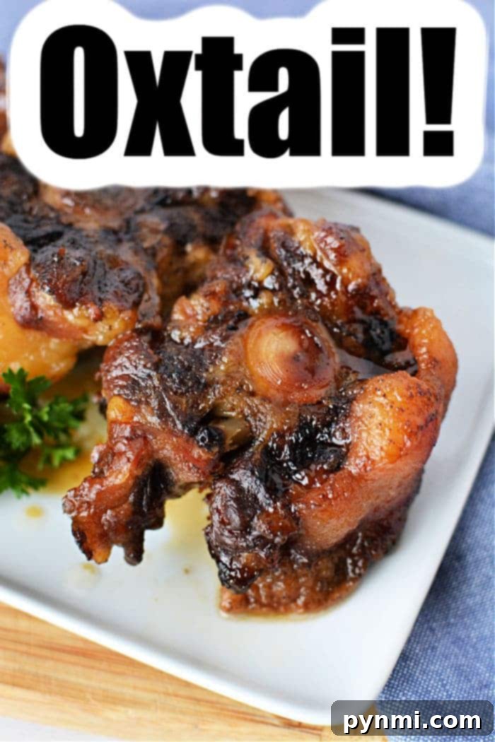 how to season oxtails perfectly