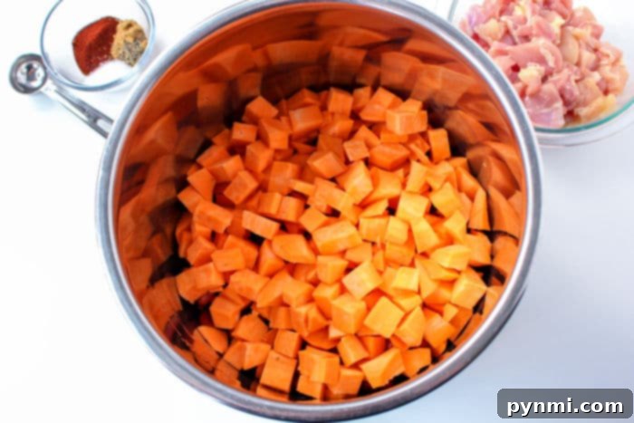 Sweet Potato Chili No Beans