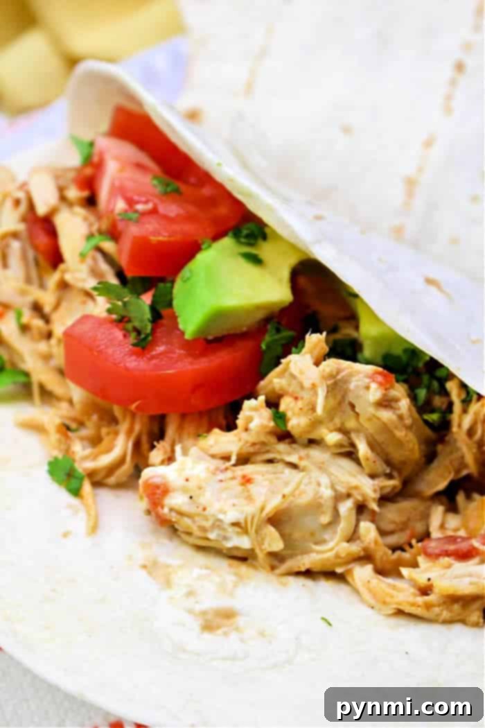 Mexican Shredded Chicken tacos with fresh toppings.