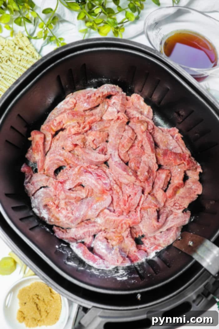 Beef Strips in Air Fryer