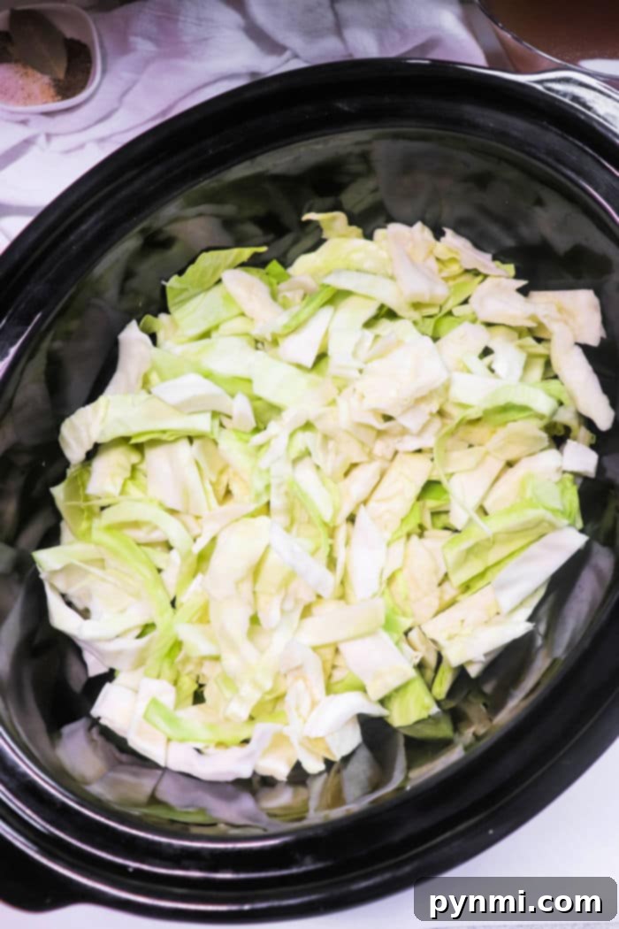 Close-up of tender ham and cabbage simmering in a slow cooker, highlighting the rich colors and textures of the dish.