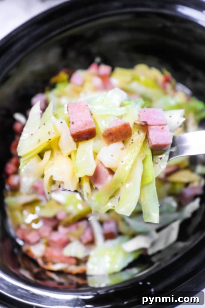 A freshly cooked batch of Crockpot Cabbage and Ham, served in a rustic bowl, ready to be dished out for a comforting family dinner.