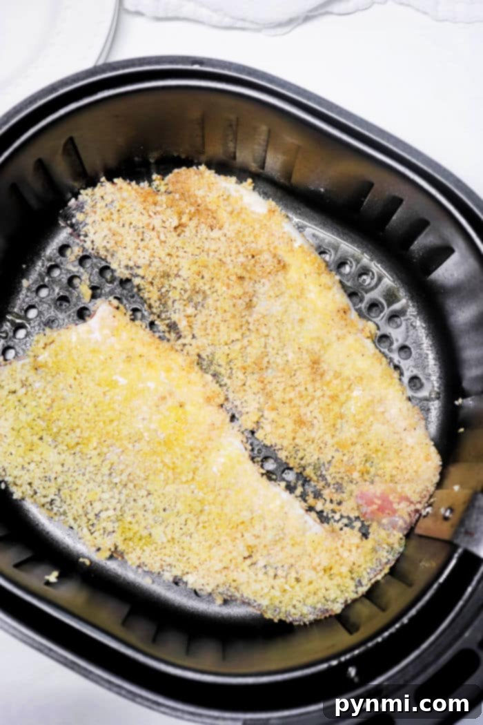 Air Fryer White Fish