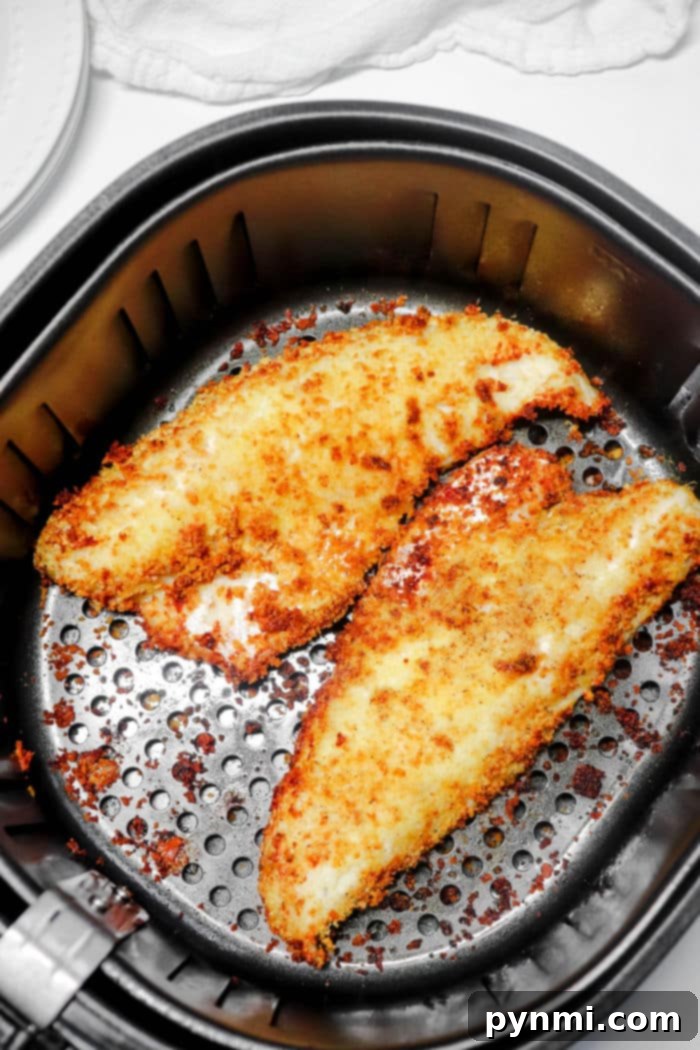 Walleye Air Fryer
