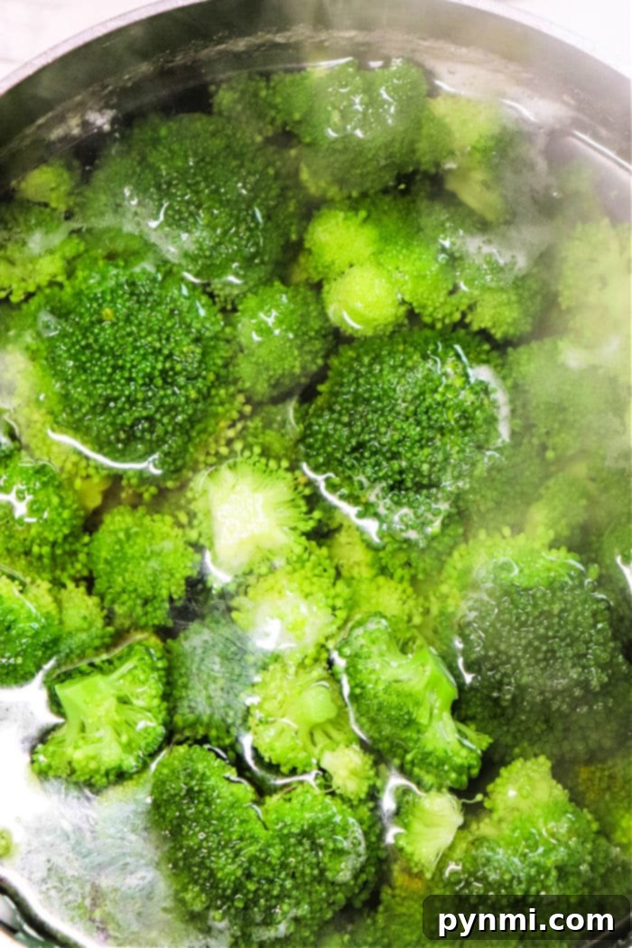 Boiled Broccoli