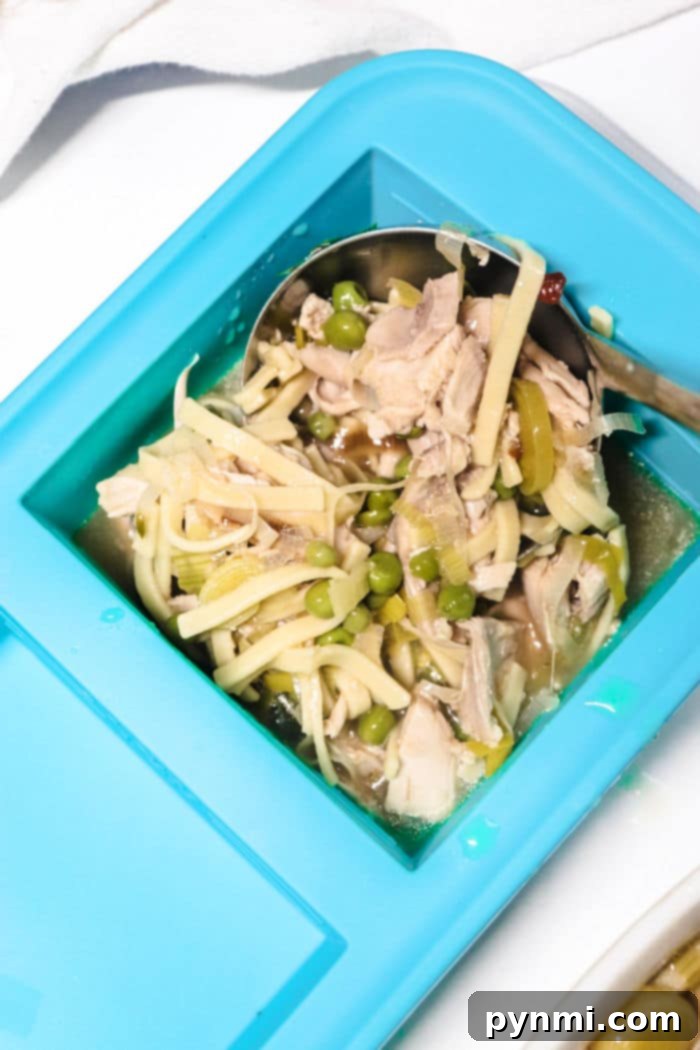Your Guide to Freezing Chicken Soup 4 showing how you freeze soup with chicken.