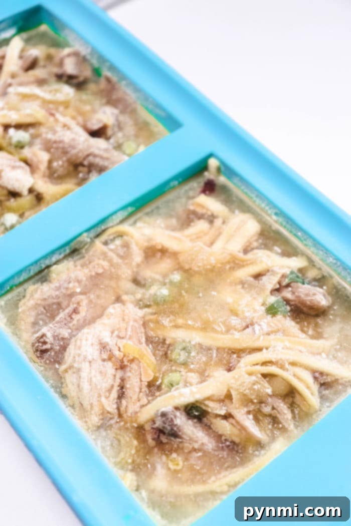Your Guide to Freezing Chicken Soup 5 Souper Cubes Shark Tank