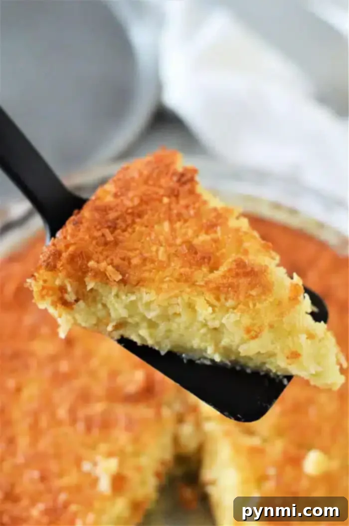 Magic Coconut Bisquick Pie 2 A golden-brown slice of Bisquick Impossible Coconut Pie being lifted with a black spatula from a round glass pie dish. The pie features a crispy, textured top and a moist, creamy interior, with a white kitchen cloth subtly visible in the background.