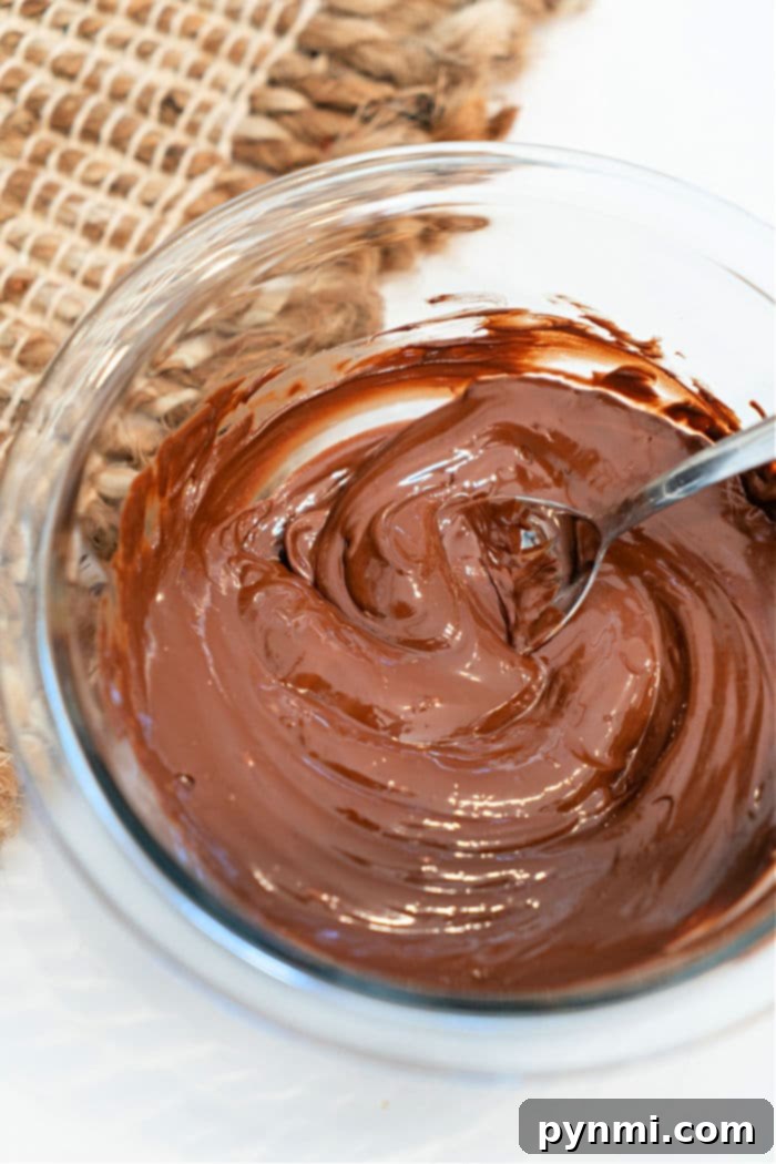 Melting Chocolate Chips in Microwave - A bowl of chocolate chips with a spoon