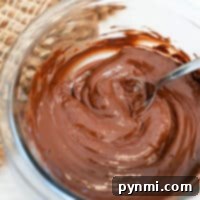 A bowl of velvety melted chocolate, crafted from melting chocolate chips in the microwave, sits invitingly with a spoon on a woven table mat.