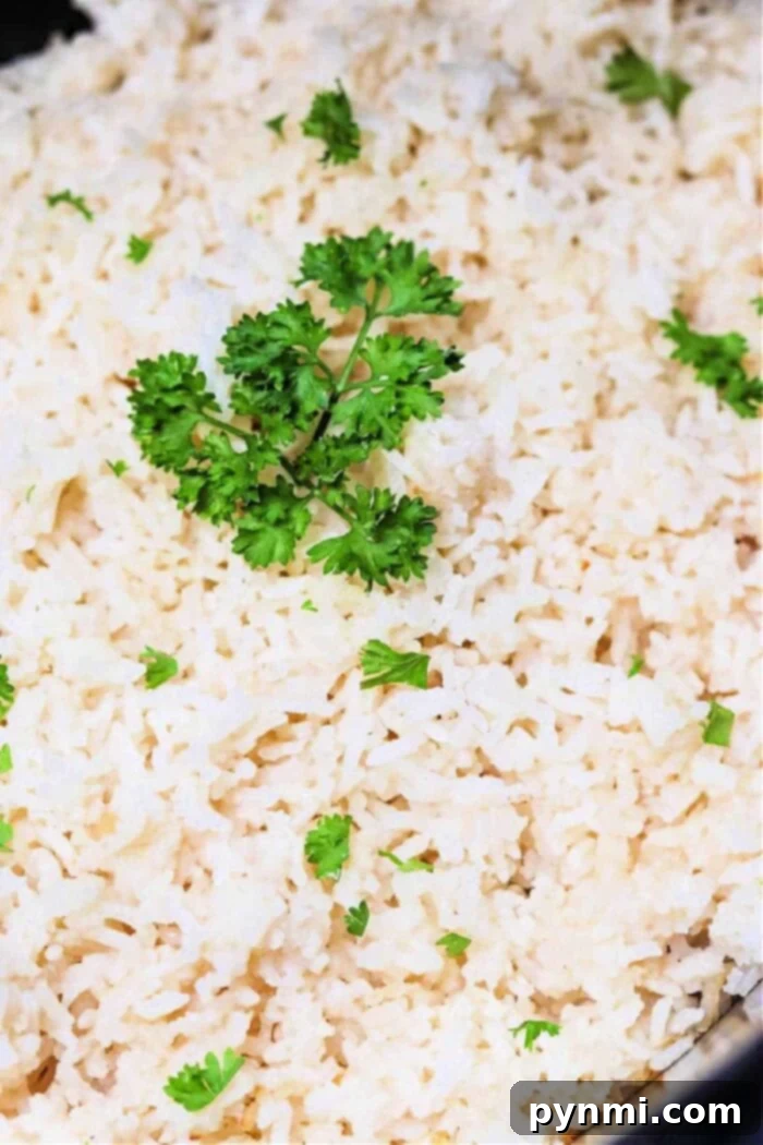 Effortless Slow Cooker White Rice 2 A close-up image of a dish of perfectly cooked white rice, prepared in a slow cooker, garnished with a sprig of fresh parsley and small parsley pieces scattered throughout.