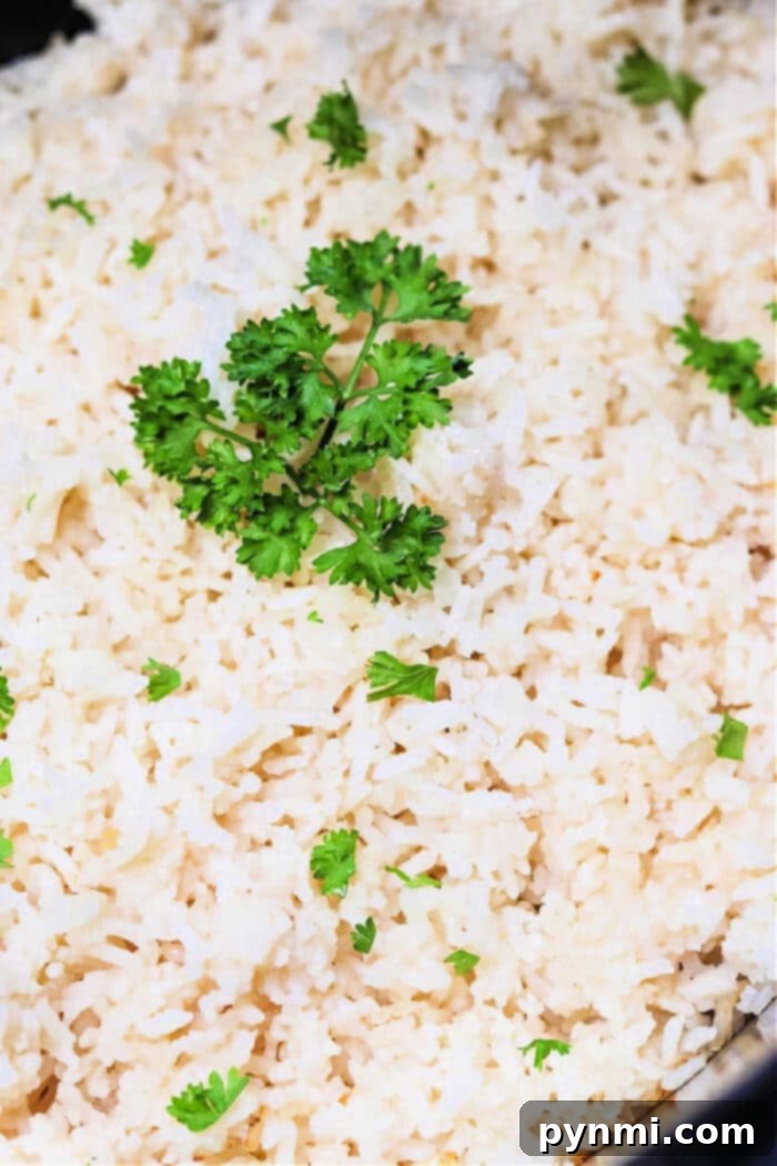 Effortless Slow Cooker White Rice 8 how to cook rice in slow cooker
