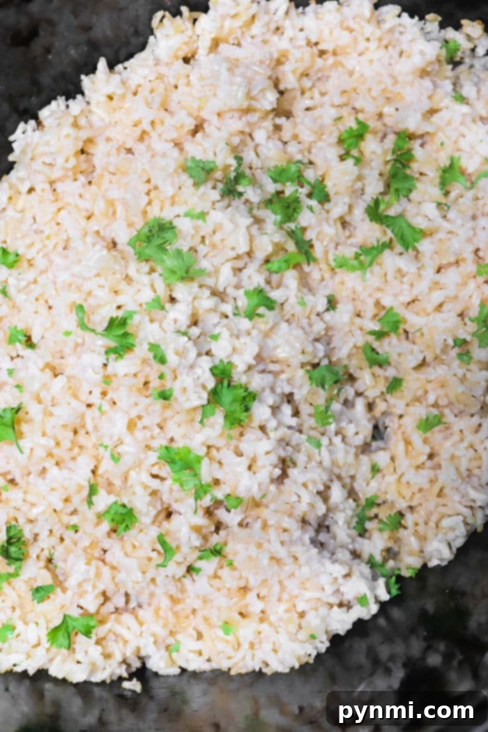 Effortless Slow Cooker Brown Rice Perfection 7 A bowl of slow cooker brown rice with black beans, garnished with fresh cilantro.