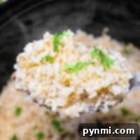 A spoon lifts a serving of slow cooker brown rice garnished with parsley from the crockpot.