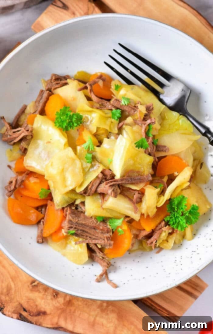 Comforting Cabbage Stew 2 A vibrant bowl of beef and cabbage stew, featuring tender beef pieces, softened cabbage, carrots, and a rich broth, garnished with fresh herbs, ready to be served as a healthy and hearty meal.