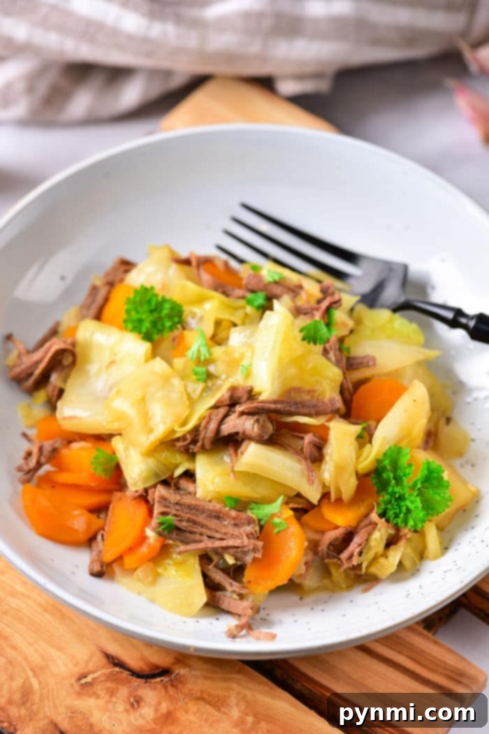 Comforting Cabbage Stew 10 A close-up shot of a steaming bowl of healthy beef and cabbage stew, showing chunks of tender beef, wilted cabbage, and sliced carrots in a savory broth, invitingly ready to be enjoyed.