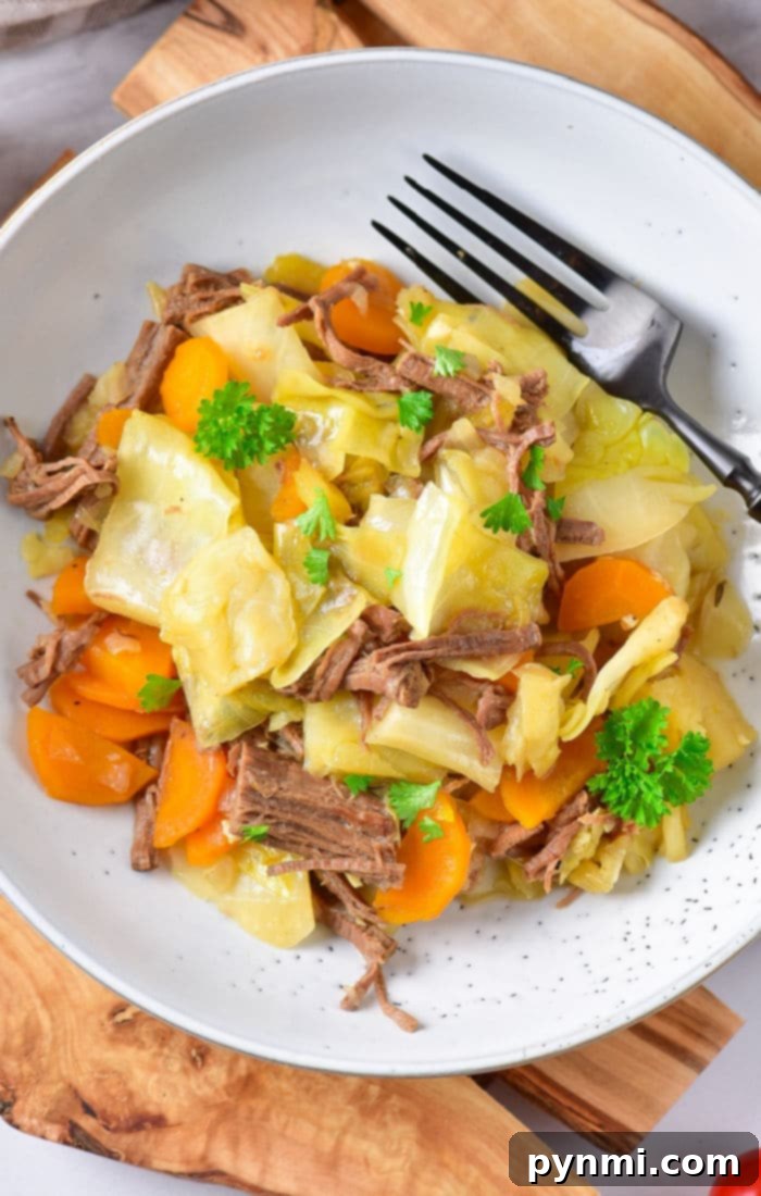 Comforting Cabbage Stew 11 A close-up of a flavorful beef and cabbage stir-fry, showcasing tender slices of beef, crisp-tender cabbage, and other vibrant vegetables lightly coated in a savory sauce, ready to be enjoyed.