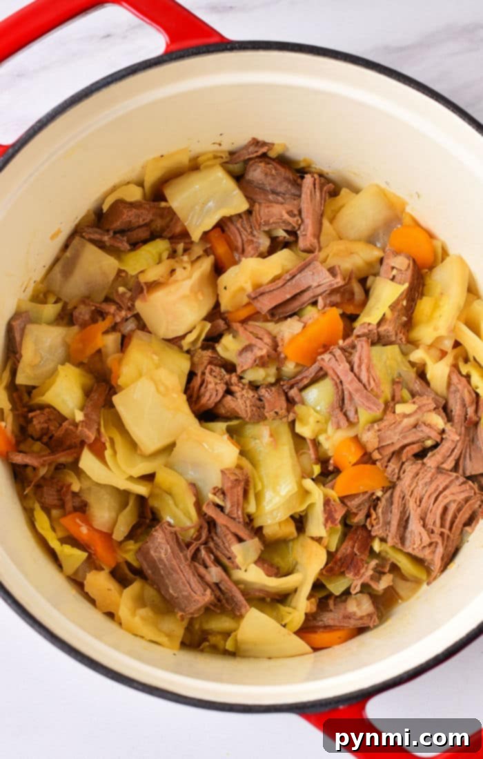 Comforting Cabbage Stew 9 A close-up of a rustic bowl filled with a hearty and comforting cabbage stew recipe, showcasing tender pieces of beef, soft cabbage, and carrots in a rich, flavorful broth.
