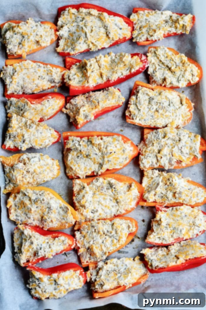 A full tray of freshly baked cream cheese stuffed mini sweet peppers, glistening and golden, ready for serving.