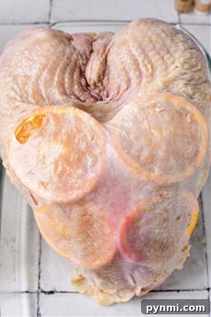 Golden Roasted Turkey Crown 4 How to Roast a Turkey Breast