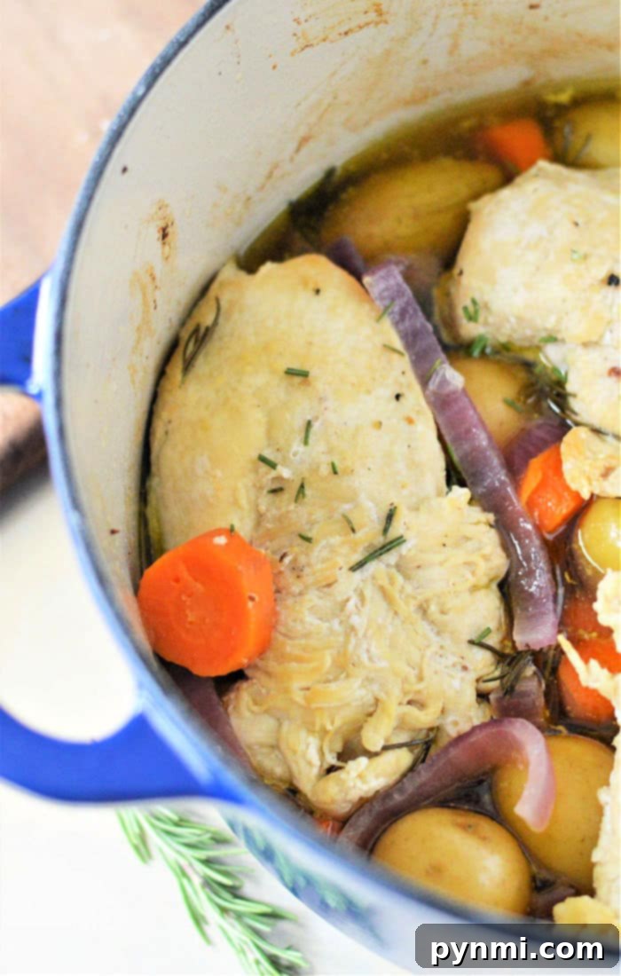 Perfectly Tender Dutch Oven Chicken Breasts 2 Juicy Chicken Breasts with Roasted Vegetables in a Dutch Oven