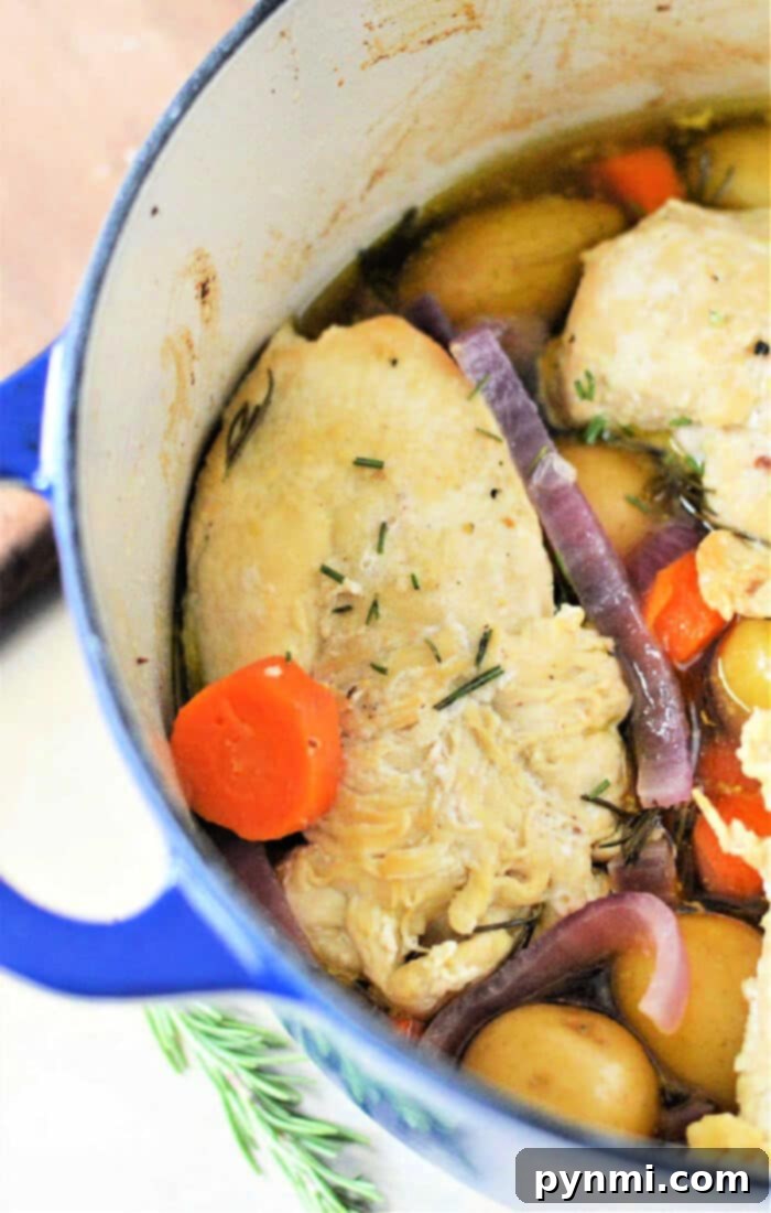 Perfectly Tender Dutch Oven Chicken Breasts 8 A vibrant and comforting Dutch oven meal with chicken and assorted vegetables, showcasing the rich colors and textures.