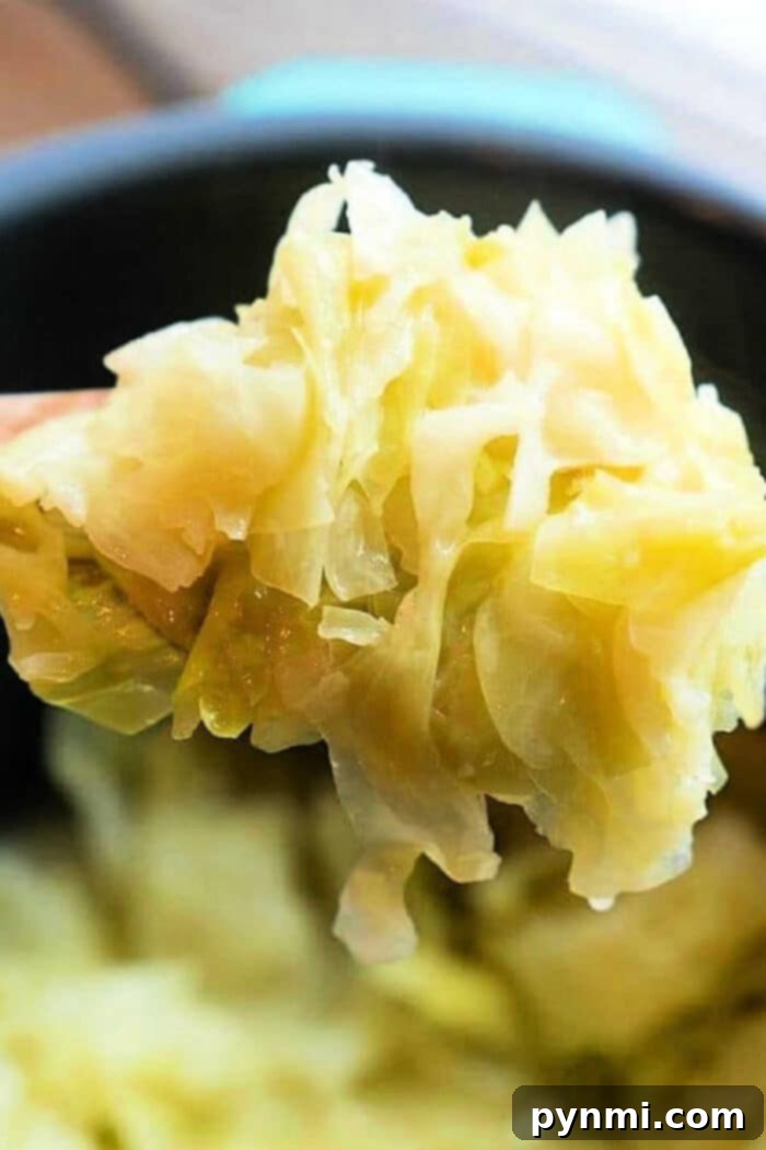 Pressure Perfect Cabbage 7 cabbage pressure cooker