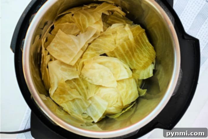 Pressure Perfect Cabbage 8 Pressure Cook Cabbage