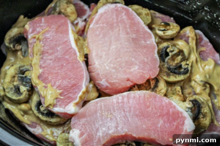 Close-up of Cooked Slow Cooker Pork Chops with Gravy