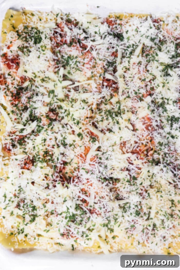 Can You Reheat Cooked Lasagna without losing quality