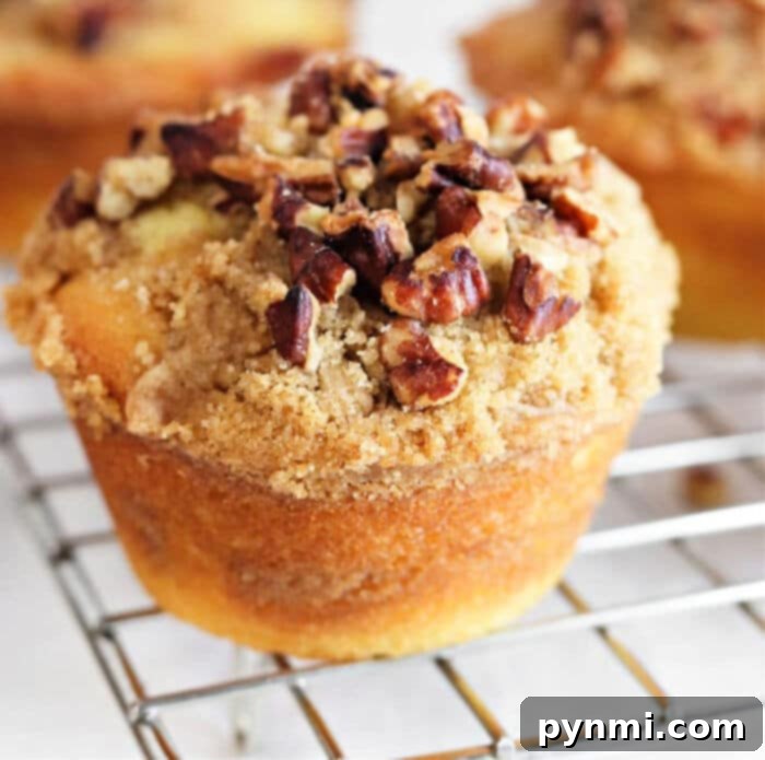 healthy coffee cake muffins with a delicious crumb topping