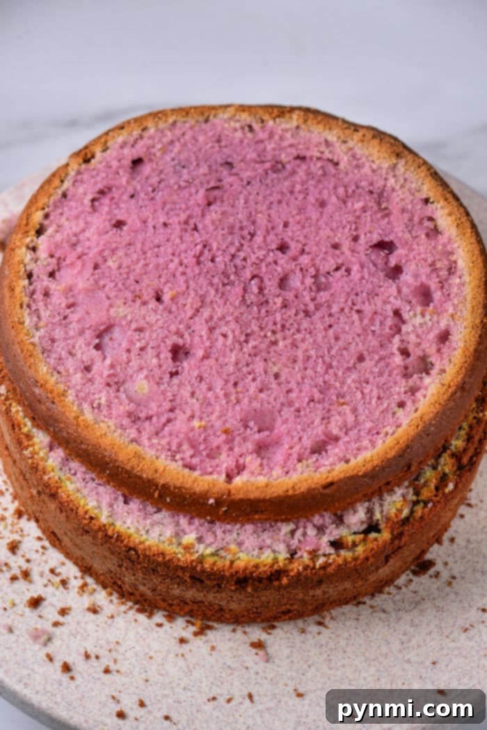 Pink and Purple Cake