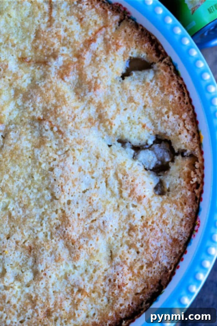 Pour-Over-Top-Pie-Crust - A complete overview of the golden-brown pour-over pie in its dish.