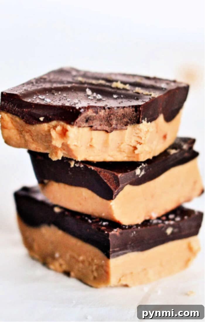 Classic Lunch Lady Chocolate Peanut Butter Bars From Scratch 2 Lunch Lady Peanut Butter Bars