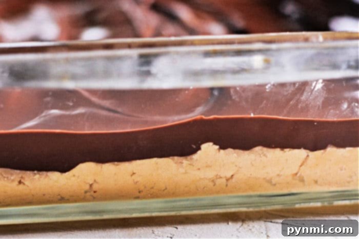Classic Lunch Lady Chocolate Peanut Butter Bars From Scratch 5 Old School Cafeteria Peanut Butter Squares