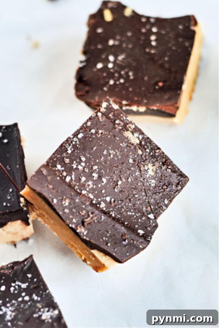 Classic Lunch Lady Chocolate Peanut Butter Bars From Scratch 7 Lunch Lady Peanut Butter Bars No Bake