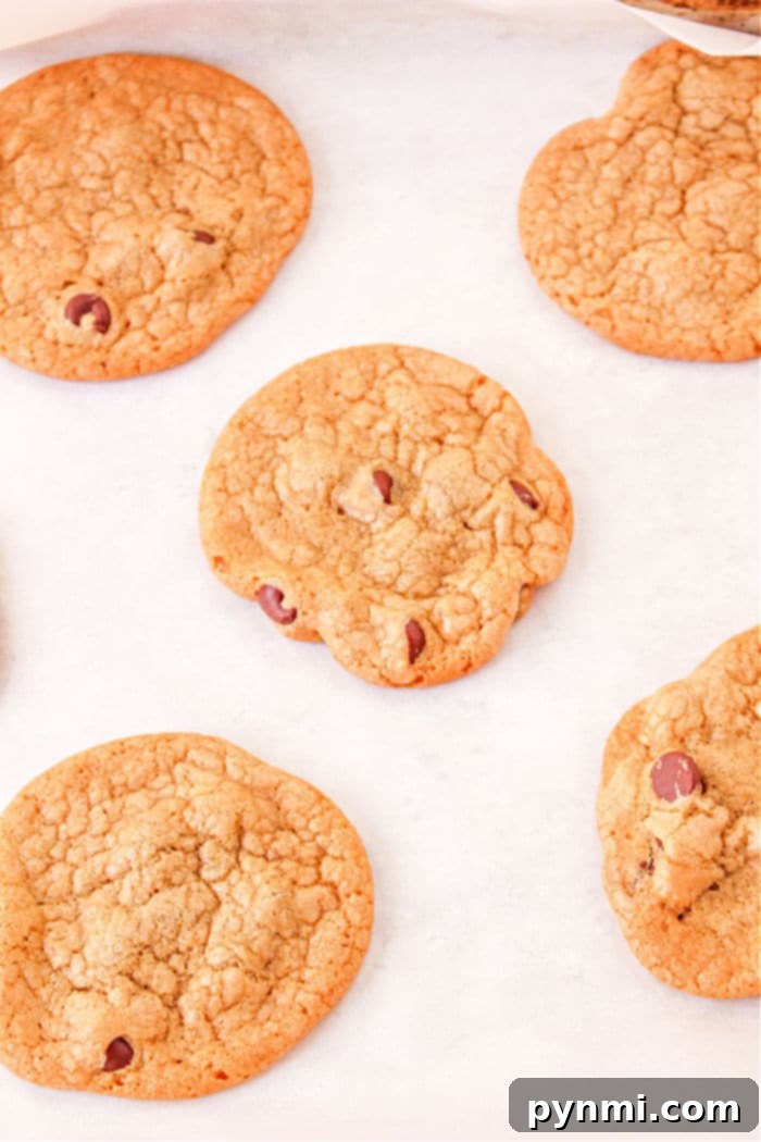 A freshly baked batch of dairy-free chocolate chip cookies rests on a wire rack, ready to be enjoyed, highlighting the success of this plant-based recipe.
