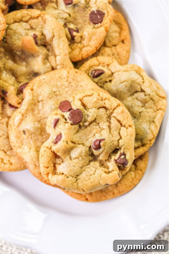A close-up of a warm, gooey chocolate chip cookie, indicating its no-butter, dairy-free nature, and irresistible appeal.