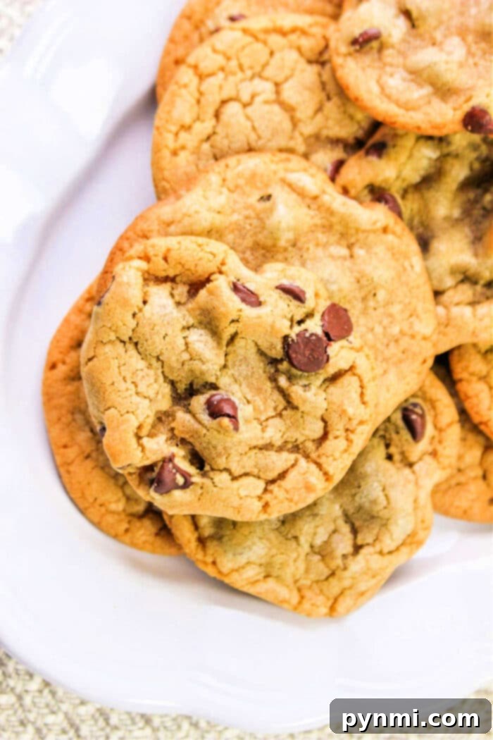 A perfectly arranged plate of golden-brown no-butter chocolate chip cookies, ready for serving, highlighting their delicious dairy-free appeal.