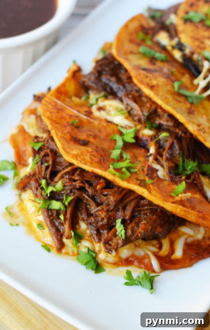 Instant Pot Birria Tacos - Mouth-watering pulled beef tacos with rich consommé