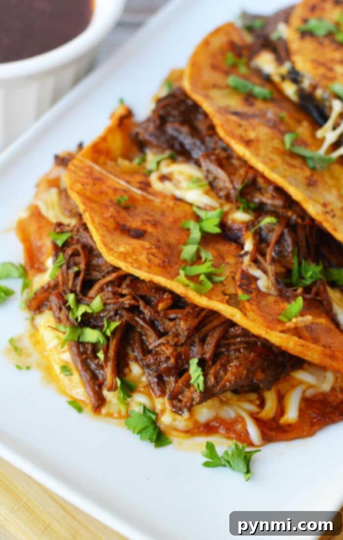 Instant Pot Birria Tacos with Consommé, a complete and flavorful meal presentation.