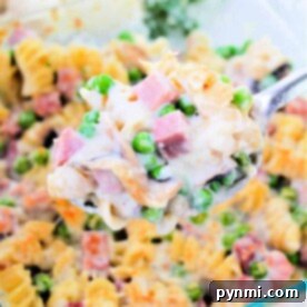 A spoonful of creamy pasta bake with turkey, peas, and cheese hovers above a glass baking dish, reminiscent of a delightful tetrazzini recipe.